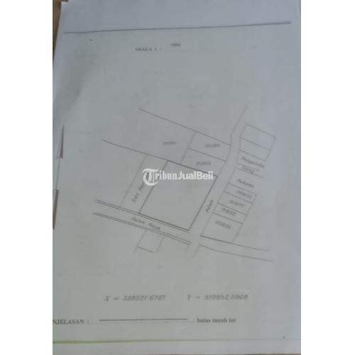 Luas tanah 2139 m2 di dekat pantai Jelenga Jereweh Sumbawa Besar