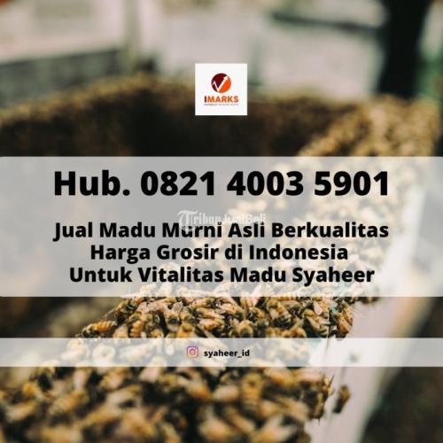 MADU MURNI, Hub. 0821 4003 5901, Madu Murni Asli Terbaik Untuk Kejantanan di Indonesia Madu Sya