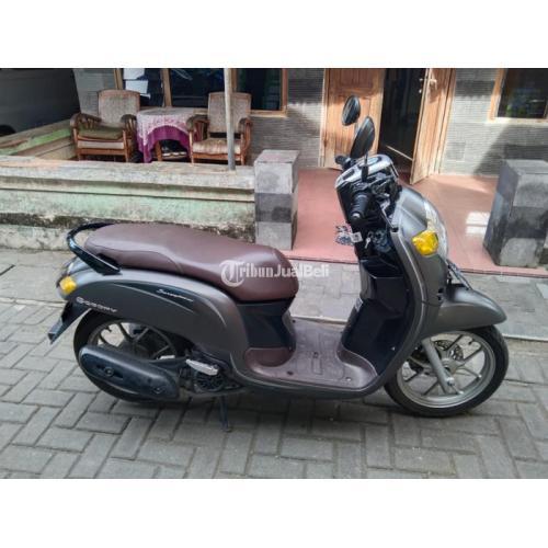 Motor Honda Scoopy 2019 Black Matte Bekas Surat Lengkap Di Sleman ...