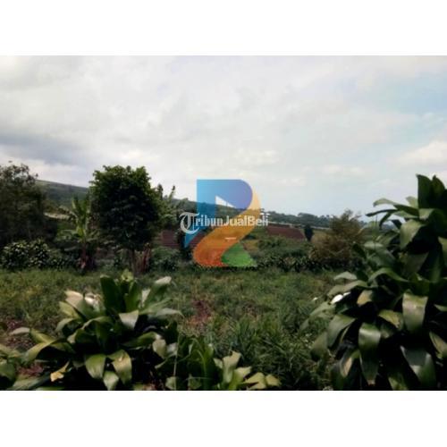 Jual kebun subur di sumbergondo batu
