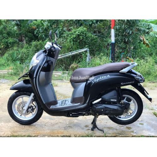 Motor Honda Scoopy Matic 2020 Bekas Surat Lengkap Mesin Mulus Siap Pakai - Kendari