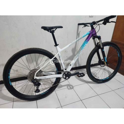 Polygon xtrada 2024 7 29er