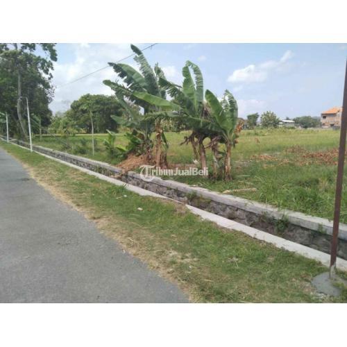 Tanah Sawah LT669 Harga Per Meter Nego Paling Murah di Berbah - Sleman