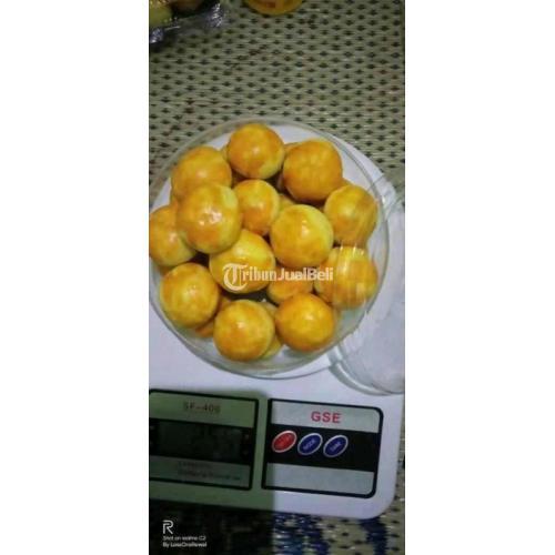 Kue Kering PO Cocok Untuk Hampers Lebaran Rasa Dijamin Enak - Bantul