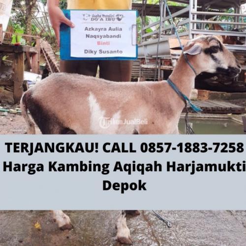 cateringaqiqahharjamukti