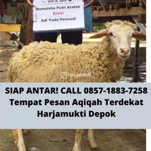 Aqiqah Terdekat Harjamukti Depok