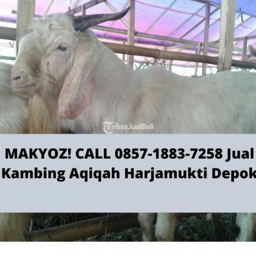 SIAP ANTAR! CALL 0857-1883-7258 Tempat Pesan Aqiqah Terdekat Harjamukti Depok