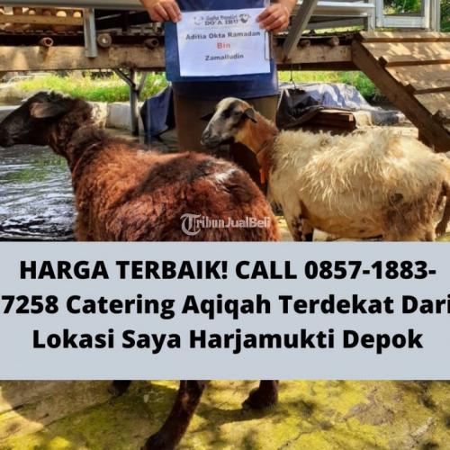 TERJANGKAU! CALL 0857-1883-7258 Harga Kambing Aqiqah Harjamukti Depok