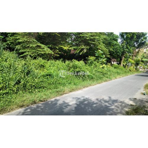 Tanah Gamping Luas 200m2 Belakang Puskesmas Mancasan Akses Jalan Aspal - Sleman Yogyakarta