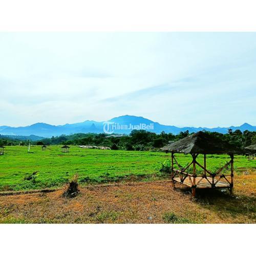 Dijual Tanah Kavling Sertifikat SHM - Bogor