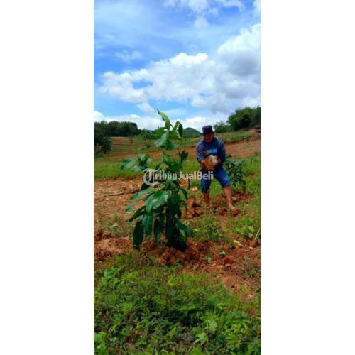 Tanah Kavling Dekat Jakarta