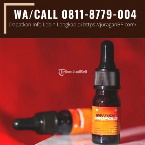 Suplemen Untuk Imunitas British Propolis Buton