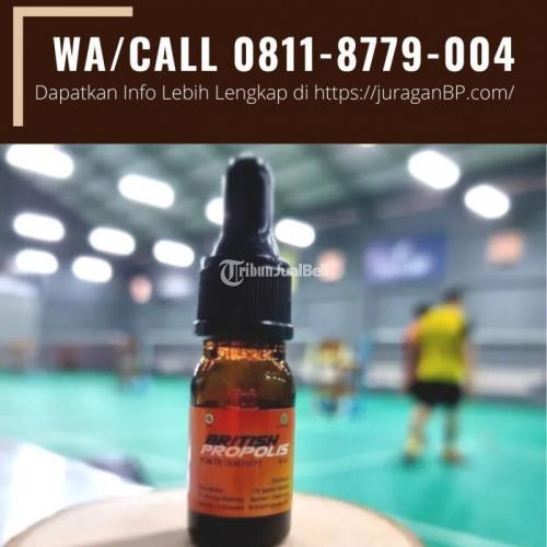 Suplemen Untuk Imunitas British Propolis Buton