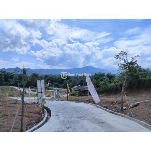 Tanah Kavling Konsep Taman Bunga Tabebuya