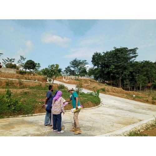 Tanah Kavling Konsep Taman Bunga Tabebuya