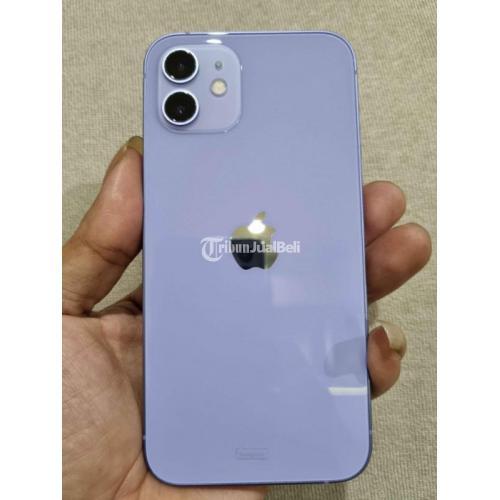 Hp Iphone 12 256Gb Second Purple Harga Nego Bergaransi - Sleman