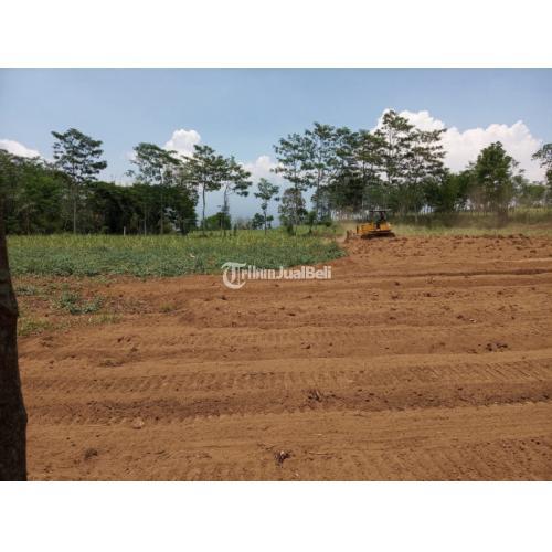 Investasi Menguntungkan Masa Pandemi Tanah Di Kota Malang 1,3 Juta Nego