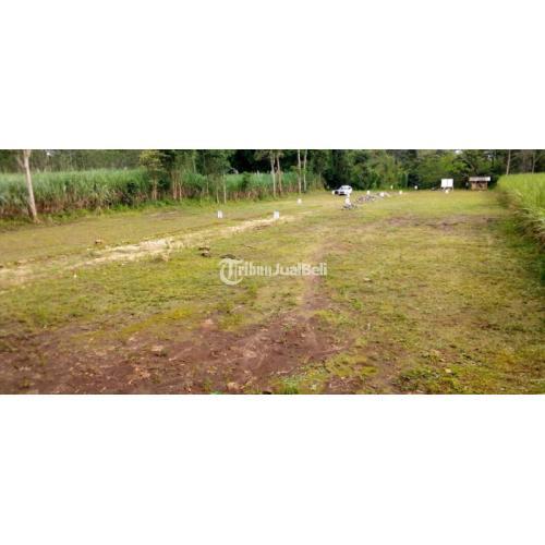 Investasi Menguntungkan Masa Pandemi Tanah Di Kota Malang 1,3 Juta Nego