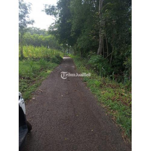 Investasi Menguntungkan Masa Pandemi Tanah Di Kota Malang 1,3 Juta Nego