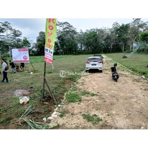 Investasi Menguntungkan Masa Pandemi Tanah Di Kota Malang 1,3 Juta Nego