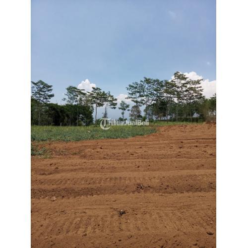 TANAH KAVLING BISA CICIL 12X TANPA BUNGA DI MALANG