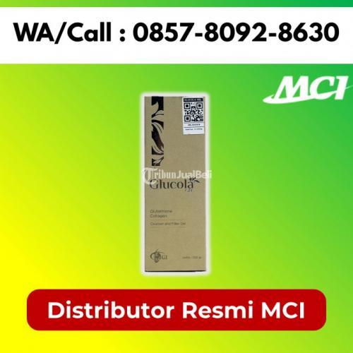 Suplemen Herbal Glucola MCI Melayani Kahu - Bone