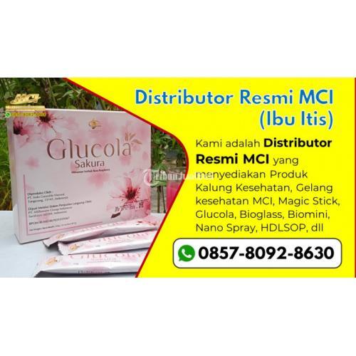 Suplemen Melancarkan peredaran darah Glucola MCI Melayani Tellu Siattinge - Bone