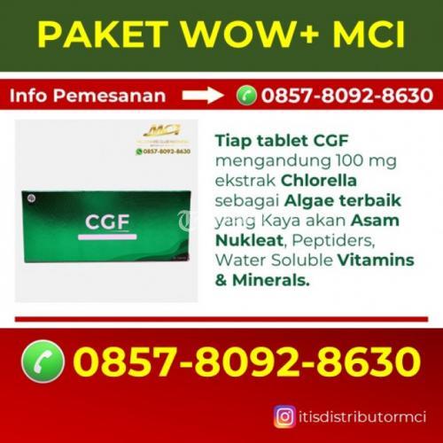 Suplemen anti pikun melawan penyakit alzheimer Melayani Kuta Malaka - Aceh Besar