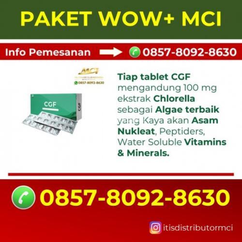 Suplemen anti pikun melawan penyakit alzheimer Melayani Kuta Malaka - Aceh Besar