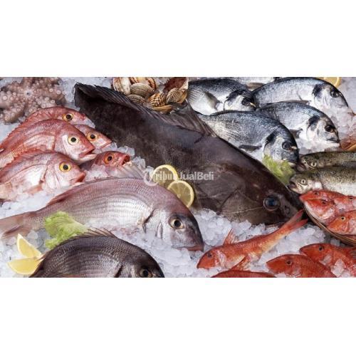 Penyalur ikan air tawar utan kayu