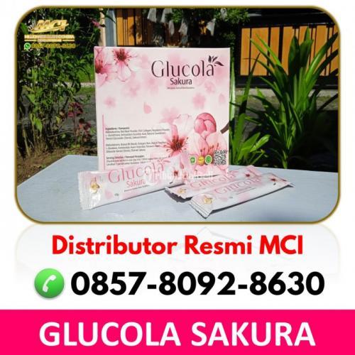 Suplemen Kesehatan Untuk Ibu Menyusui Melayani Malingping - Lebak