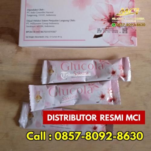 Suplemen Melancarkan peredaran darah Glucola MCI Melayani Blang Bintang - Aceh Besar