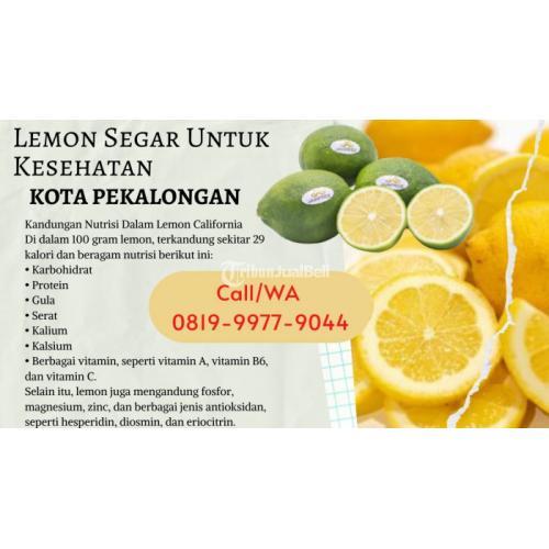 Lemon Segar Untuk Kesehatan Kota Pekalongan Call/WA 0819-9977-90444