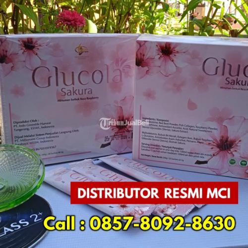 Suplemen Kesehatan Pria Dewasa Glucola MCI Melayani Padang Tiji - Pidie