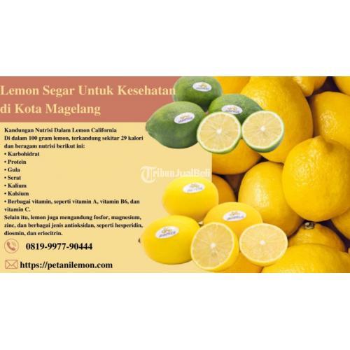Lemon Segar Untuk Kesehatan Kota Magelang Call/WA 0819-9977-90444