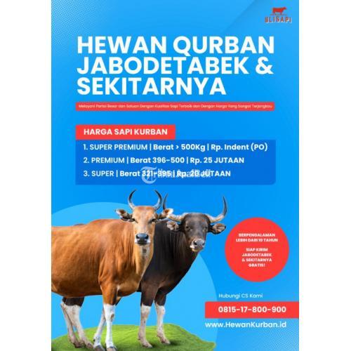 sapi kurban Cipayung jakarta timur