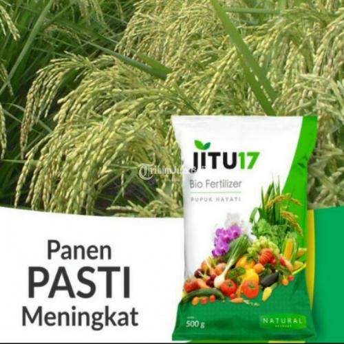 Pupuk Hayati BIOJITU Biofertilizer Untuk Hasil Panen Meningkat - Bandung
