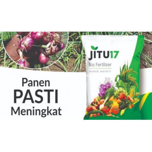 Pupuk Hayati BIOJITU Biofertilizer Untuk Hasil Panen Meningkat - Bandung