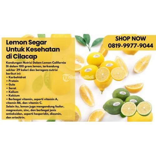 Lemon Segar Untuk Kesehatan di Cilacap Call/WA 0819-9977-9044