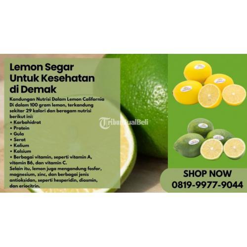 Lemon Segar Untuk Kesehatan di Demak Call/WA 0819-9977-9044