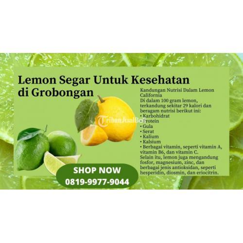 Lemon Segar Untuk Kesehatan di Grobongan Call/WA 0819-9977-9044