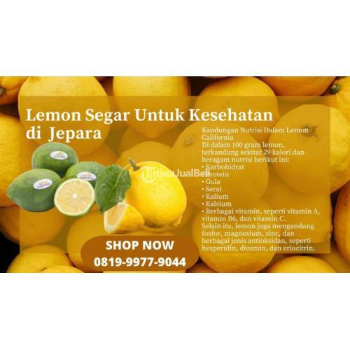 Lemon Segar Untuk Kesehatan di Jepara Call/WA 0819-9977-9044