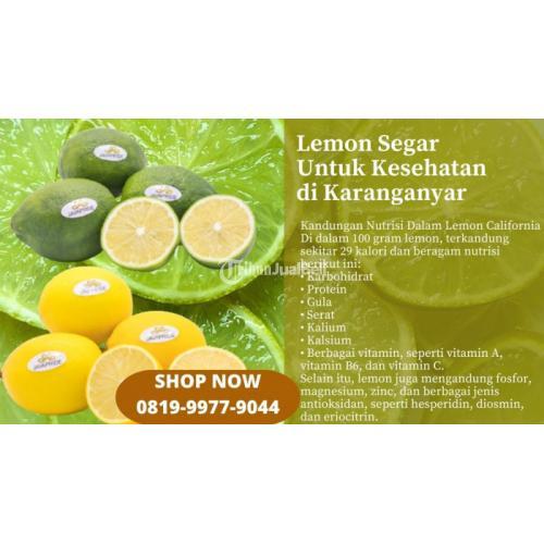 Lemon Segar Untuk Kesehatan di Karanganyar Call/WA 0819-9977-9044