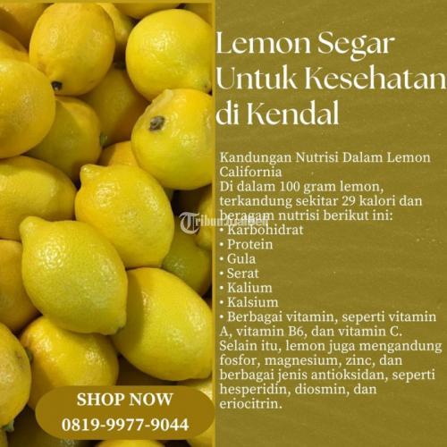 Lemon Segar Untuk Kesehatan di Kendal Call/WA 0819-9977-9044