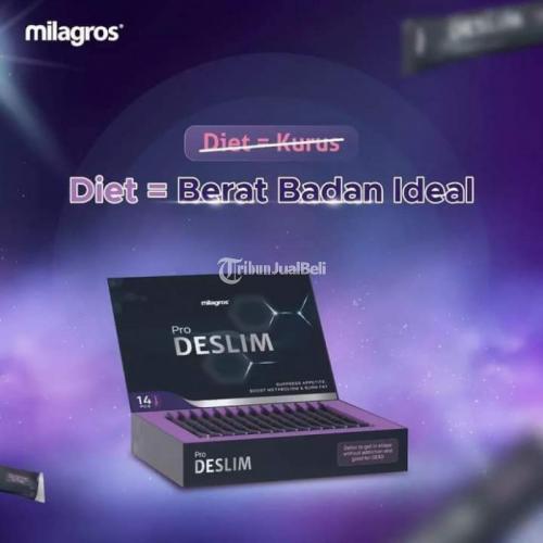 prodeslim by milagross diet tanpa ribet