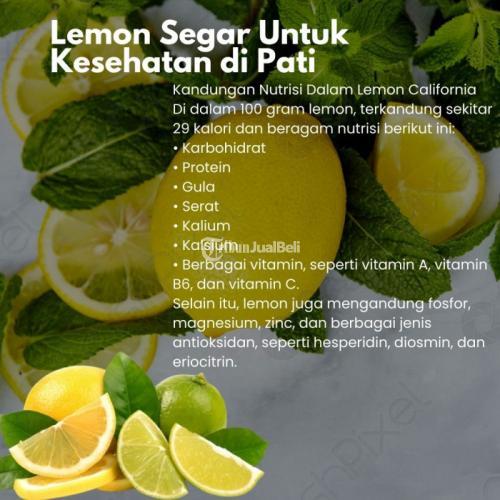 Lemon Segar Untuk Kesehatan di Pati Call/WA 0819-9977-9044