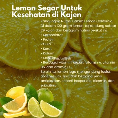 Lemon Segar Untuk Kesehatan di Kajen Call/WA 0819-9977-9044