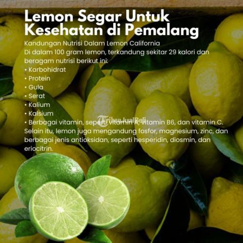 Lemon Segar Untuk Kesehatan di Kabupaten Pemalang Call/WA 0819-9977-9044