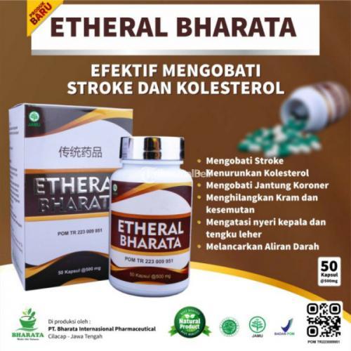 Obat Stroke Ampuh Memiliki Banyak Manfaat Harga Terjangkau Bandar Lampung