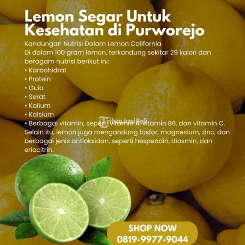 Lemon Segar Untuk Kesehatan di Kabupaten Purworejo Call/WA 0819-9977-9044